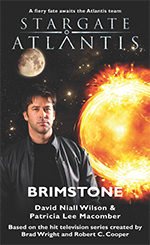 STARGATE ATLANTIS: Homecoming - first book in the Legacy series